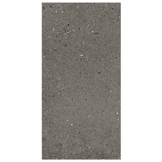 Frammenti Sintesi 12"x24" Porcelain Tile Collection