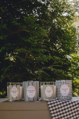 Heirloomed Frasier Fir