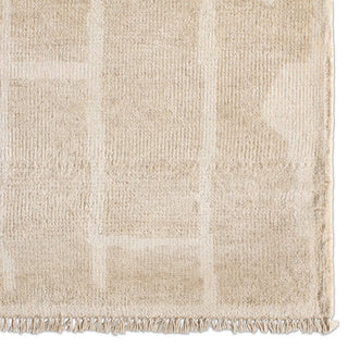 Ashend Hand Knotted Rug - AHD01