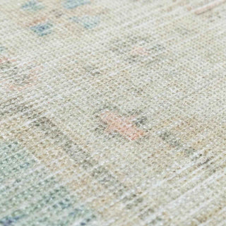 Close-up of the Baloy Vintage Washable Rug showcasing its soft texture and vintage-inspired colors.