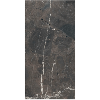 Supreme Memories 24"x48" Porcelain Tile Collection