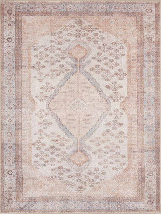 Analu Peach Washable Area Rug Collection