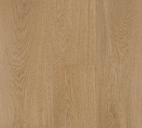 Riva Elite 6' Character