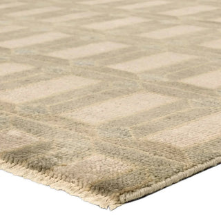 Vaila Hand-Knotted Rug