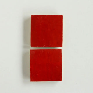 Jungle Red Zellige 4"x4" by Tilesofezra