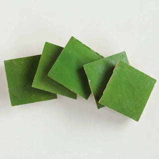 Kermit Zellige 4"x4" by Tilesofezra