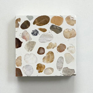Clove 12"x12" Square Terrazzo Tile by Tilesofezra