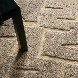 Reyner Hand Tufted Rug - RYN05