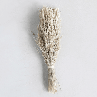 Dried Natural Star Grass Bunch