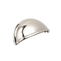 Polished Nickel