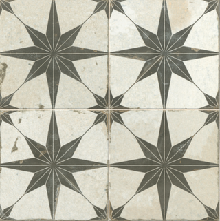 FS Star Nera Patterned Tile 18x18"