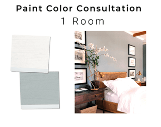 Paint Color Selection by The Lifestyle Lab