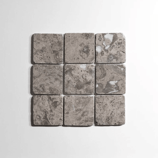 Sage Gray 4x4 tumbled marble tile featuring fossils and quartz veining, perfect for natural stone applications.