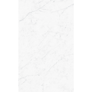 Vallelunga Carrara 24"x48" Porcelain Tile