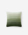 Moss