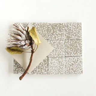 Cinnamon Terrazzo 4"x4"