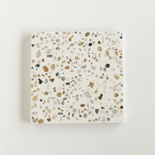 Clove 12"x12" Square Terrazzo Tile by Tilesofezra