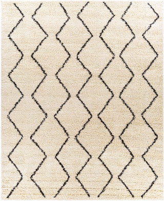 Assiniboia Moroccan Shag Rug