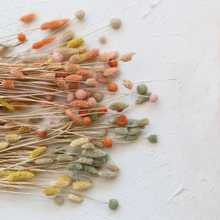 Dried Natural Bunny Tail Bunch, Set of 3