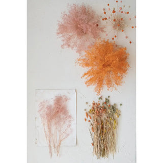Dried Natural Bunny Tail Bunch, Set of 3