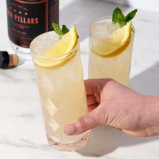 Hand holding a highball glass with a cocktail, garnished with lemon and mint, showcasing Gem Crystal drinkware set.