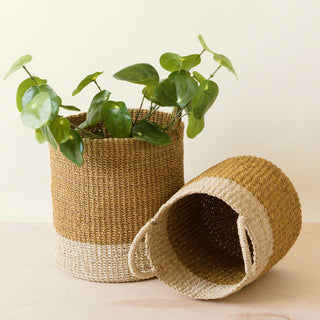 Mustard Baskets with Handle, set of 2 - Cylinder Baskets | LIKHÂ