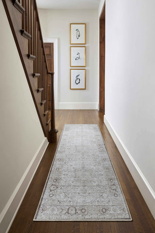 Anzu Washable Area Rug Collection