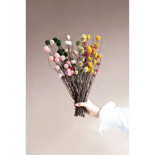 Dried Natural Globe Thistle Bunch in cream