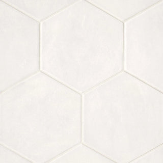 Allora 8.5 x 10 Stella Hexagon Deco Matte Porcelain Tile