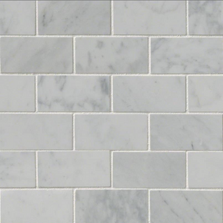 Carrara White Polished Subway Tile 2x4 
