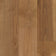 Bark