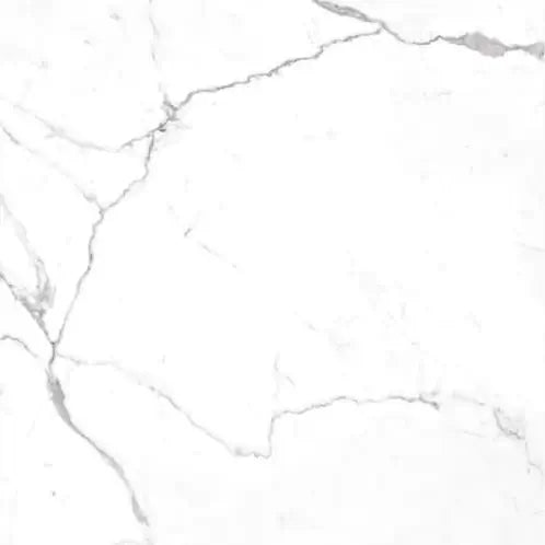 Marble Polished 12"x24"